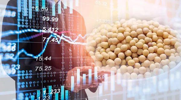 2023年大豆期货专题报告：详解六种大豆期货套利和对冲策略