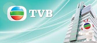 公司資料– 電視廣播有限公司(TVB)